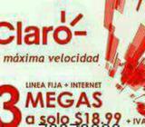 Chip de Linia
