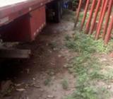 se vende plataforma DORSEY año 1989