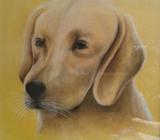 Dibujo Enmarcado en Yeso Pastel