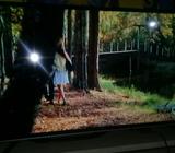 Pantalla Tcl de 40 Pulgadas