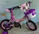 Bicicleta R12