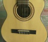 Requinto Electroacustico Palmer