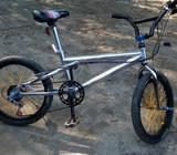 Bicicleta Aniquilada
