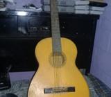 Vendo Guitarra Acustica Marca Maxpiche