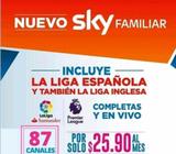 sky television