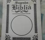 Biblia Ilustrada en Papel Brillante
