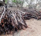 Se Vende Leña de Carbon