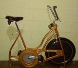 Bicicleta de Ejercicio