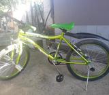 Vendo bicicleta Lynx Spider color verde metalico