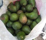 Vendo Aguacates 25 Dolares El Ciento