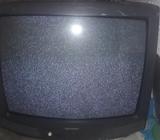 Tele en Buen Estado