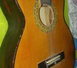 Guitarra Acústica