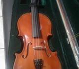 Violin Nuevo