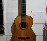 Guitarra Acustica Podemos Negociar