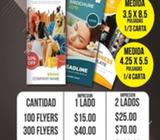 PROMOCION FLYERS PARA TU NEGOCIO O PRODUCTO