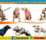 tenemos para tu perro arneses de nylon de cuero en diferentes estilos