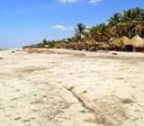 EXCURSIONES A COSTA DEL SOL LOS SABADOR DEL MES Y AÑO INF 7702 6736