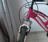 Bicicleta Mongoose
